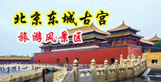 插屁屁的网站中国北京-东城古宫旅游风景区